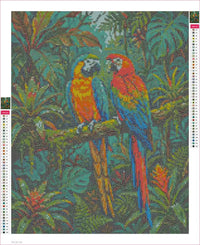 Thumbnail for Two Macaws diamond painting adhesive canvas 40x50cm
