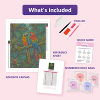 Thumbnail for Two Macaws 40x50cm diamond painting kit contents: adhesive canvas, color chart, tools and diamond bags