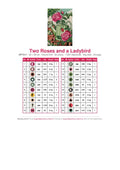 Thumbnail for DMC color chart for Two Roses and a Ladybird diamond painting - 20 colors