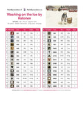 Thumbnail for DMC color chart for Washing on the Ice by Halonen diamond painting - 30 colors
