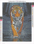 Thumbnail for Water Tiger diamond painting adhesive canvas 30x40cm