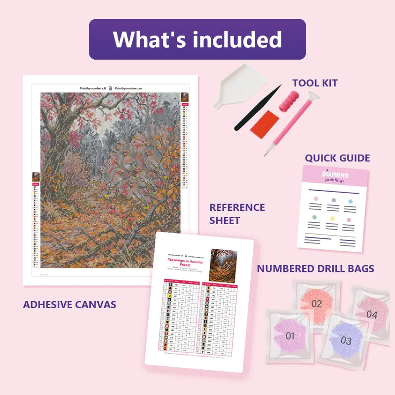 What is included in the Waxwings in Autumn Forest diamond painting kit - adhesive canvas, reference sheet, tools and numbered drill bags