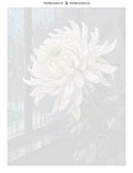 Thumbnail for Numbered canvas - White Chrysanthemum by Window 60x80cm