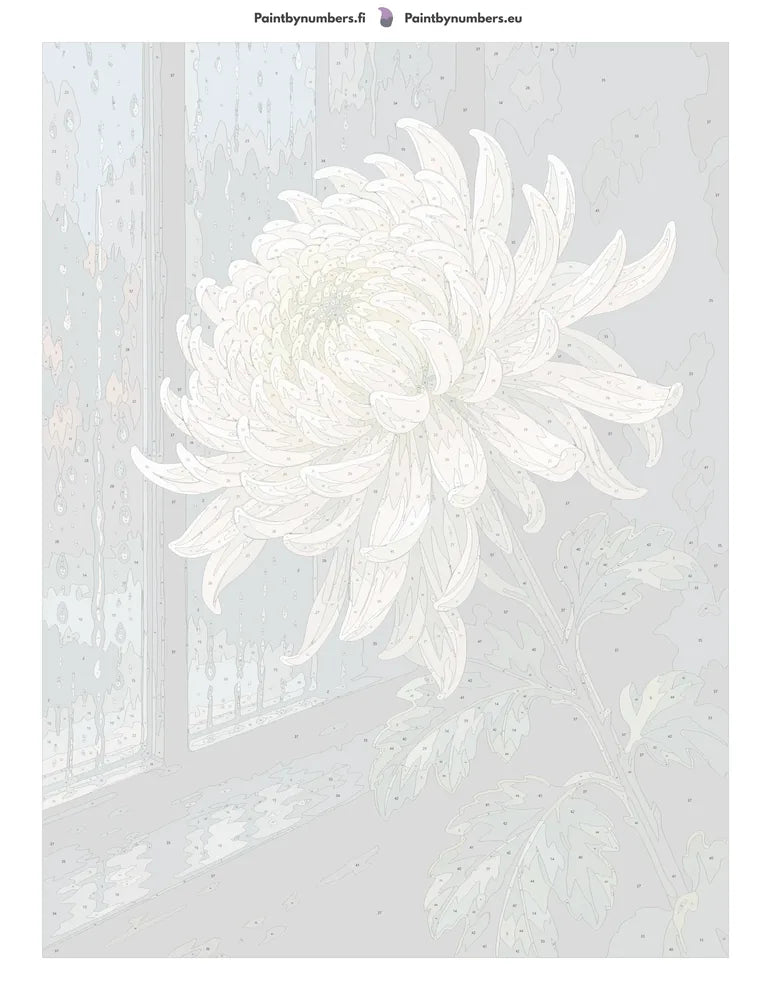 Numbered canvas - White Chrysanthemum by Window 60x80cm