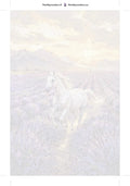 Thumbnail for Paint by numbers numbered canvas - White Horse in Lavender Field 40x60cm