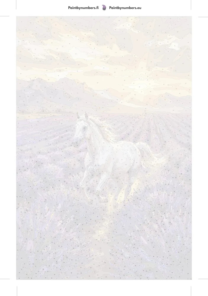 Paint by numbers numbered canvas - White Horse in Lavender Field 40x60cm