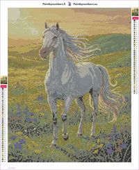 Thumbnail for White Horse in Meadow diamond painting adhesive canvas 40x50cm