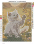 Thumbnail for White Kitten and Butterfly diamond painting adhesive canvas 30x40cm
