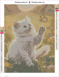 Thumbnail for White Kitten and Butterfly diamond painting adhesive canvas 30x40cm