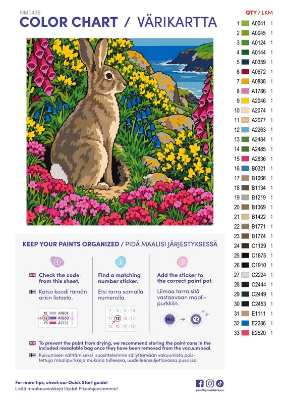 Paint color chart and instructions - Wild Rabbit on a Cornish Cliff 50x50cm