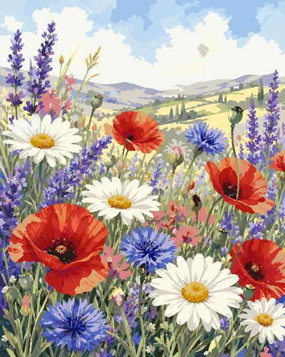 Wildflowers in meadow and hills paint by numbers.