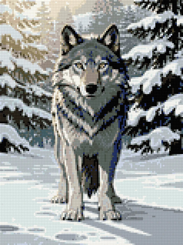 Winter Wolf diamond painting preview