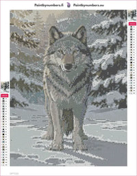 Thumbnail for Winter Wolf diamond painting adhesive canvas 30x40cm