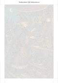 Thumbnail for Paint by numbers numbered canvas - Witch at Herb Market 40x60cm