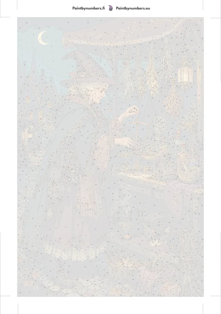Paint by numbers numbered canvas - Witch at Herb Market 40x60cm
