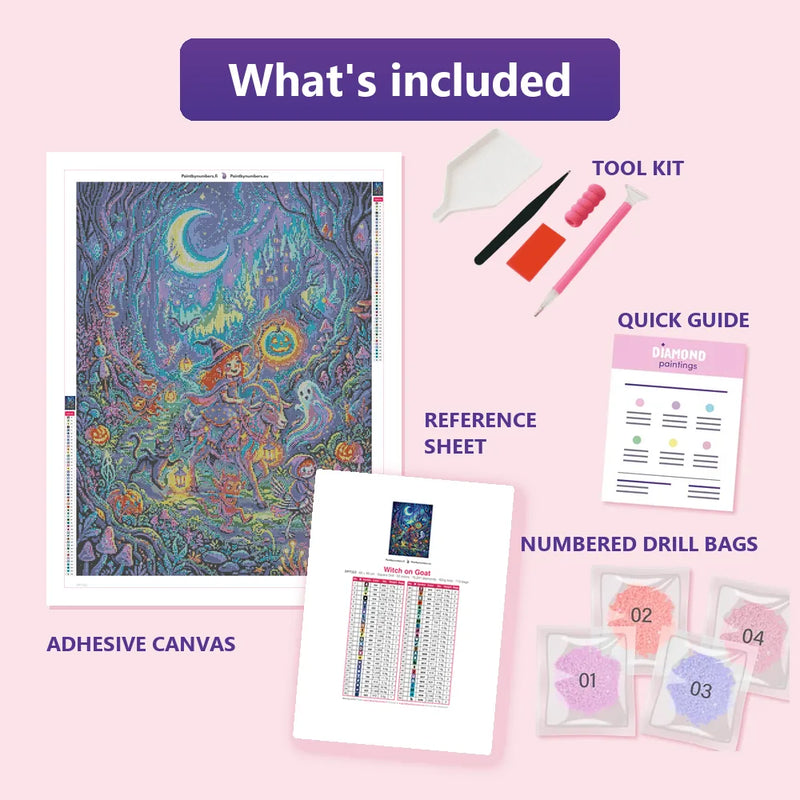 What is included in the Witch on Goat diamond painting kit - adhesive canvas, reference sheet, tools and numbered drill bags