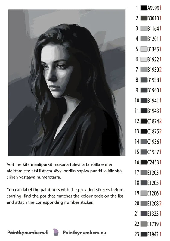 Paint color chart and instructions - Woman in Shadow Portrait 40x50cm