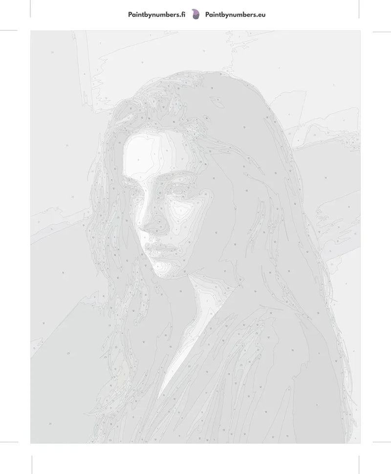 Paint by numbers numbered canvas - Woman in Shadow Portrait 40x50cm