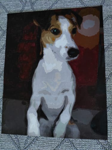 Custom dog paint by numbers made from the customer’s own photo